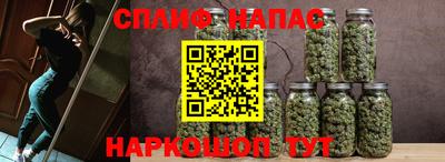 спиды Канаш