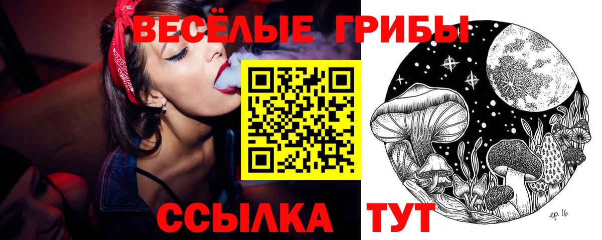 Псилоцибиновые грибы мухоморы Йошкар-Ола